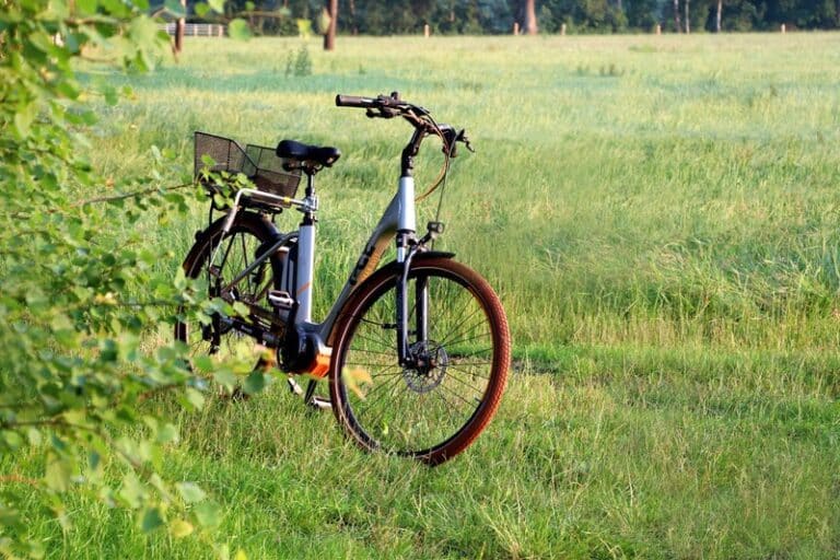 bici elettrica