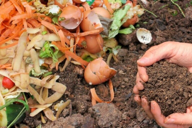 macchina per compostaggio