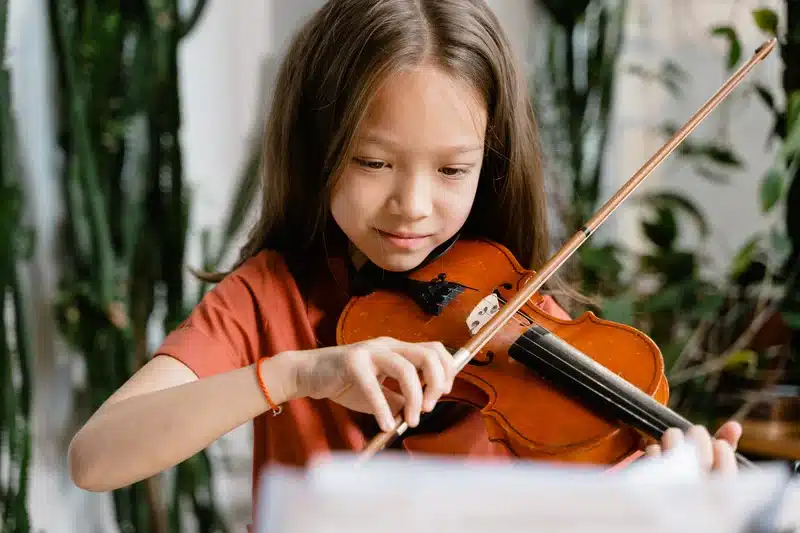 violino